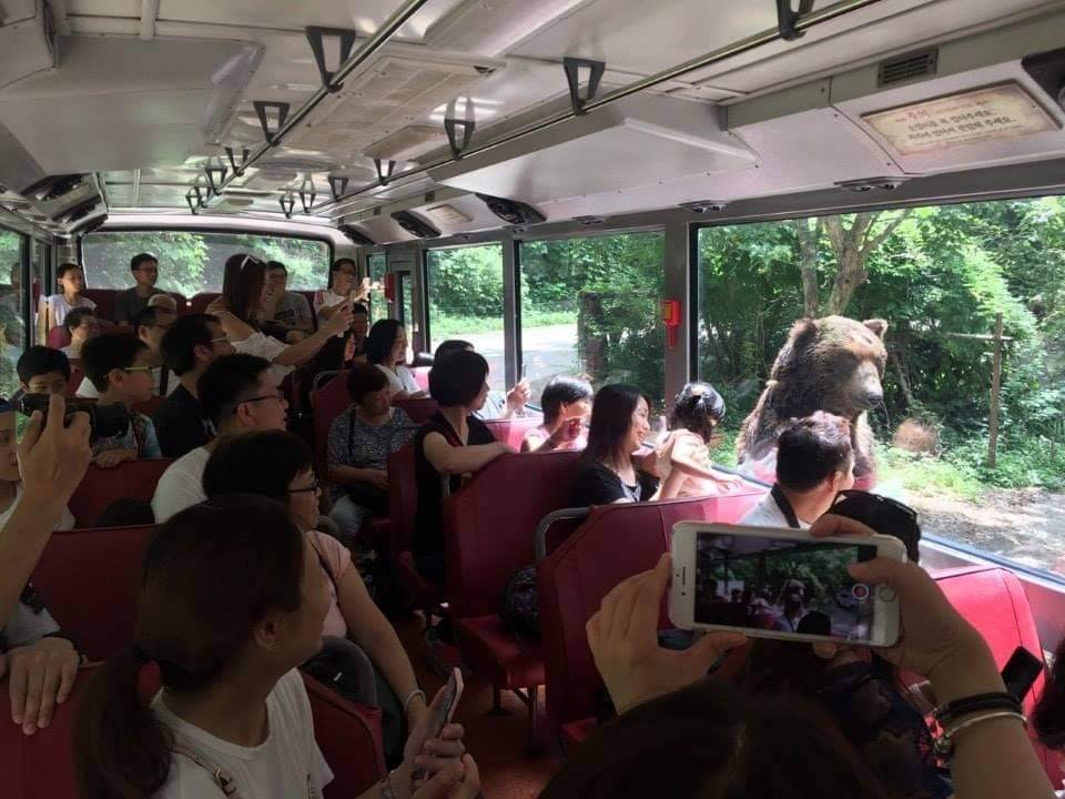 (团号:EV-01)  EVERLAND 爱宝乐园  / 加勒比海湾 一天团