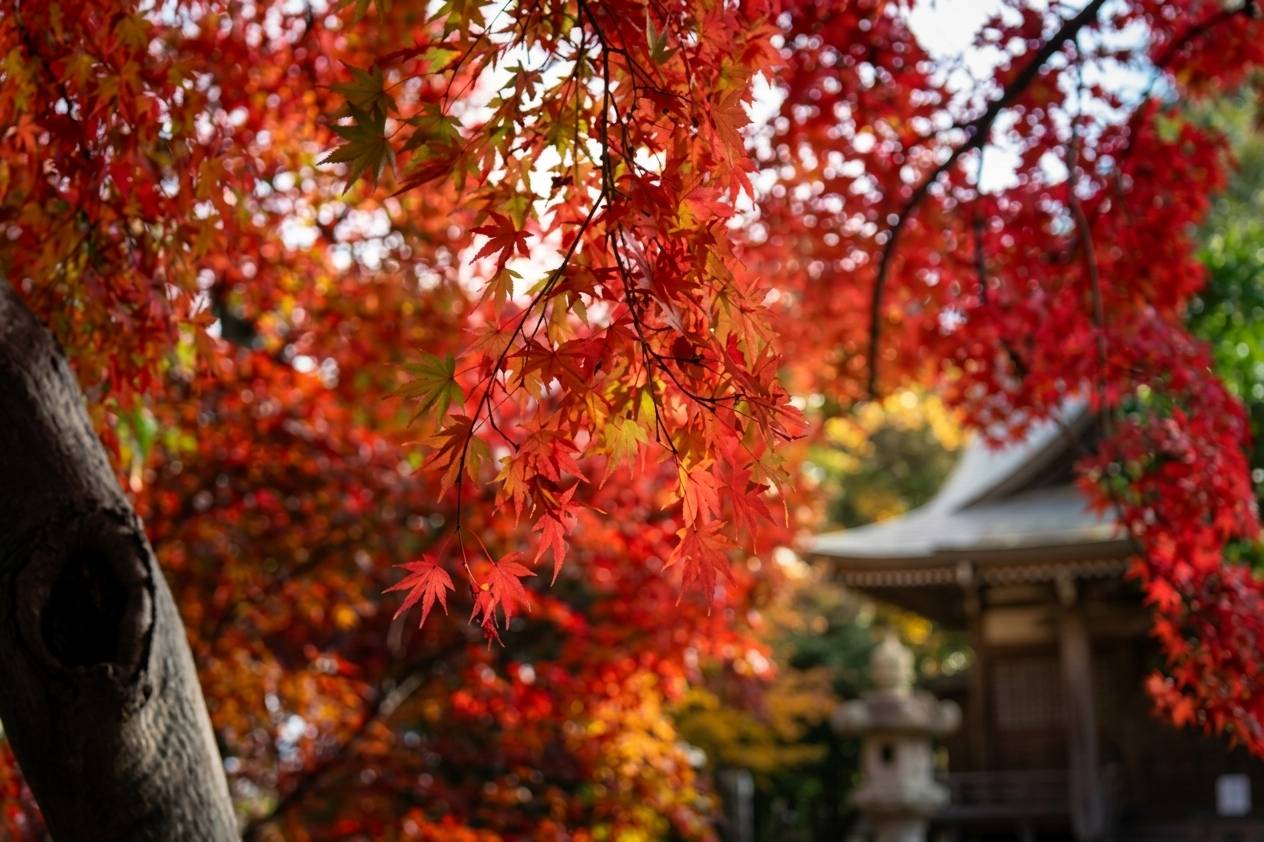 東京 多啦A夢一天團【 藤子·F·不二雄博物館、江戶東京建築園、浮岳山 深大寺 】(KTS-01A)