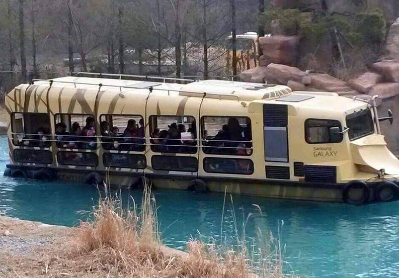 (团号:EV-01)  EVERLAND 爱宝乐园  / 加勒比海湾 一天团