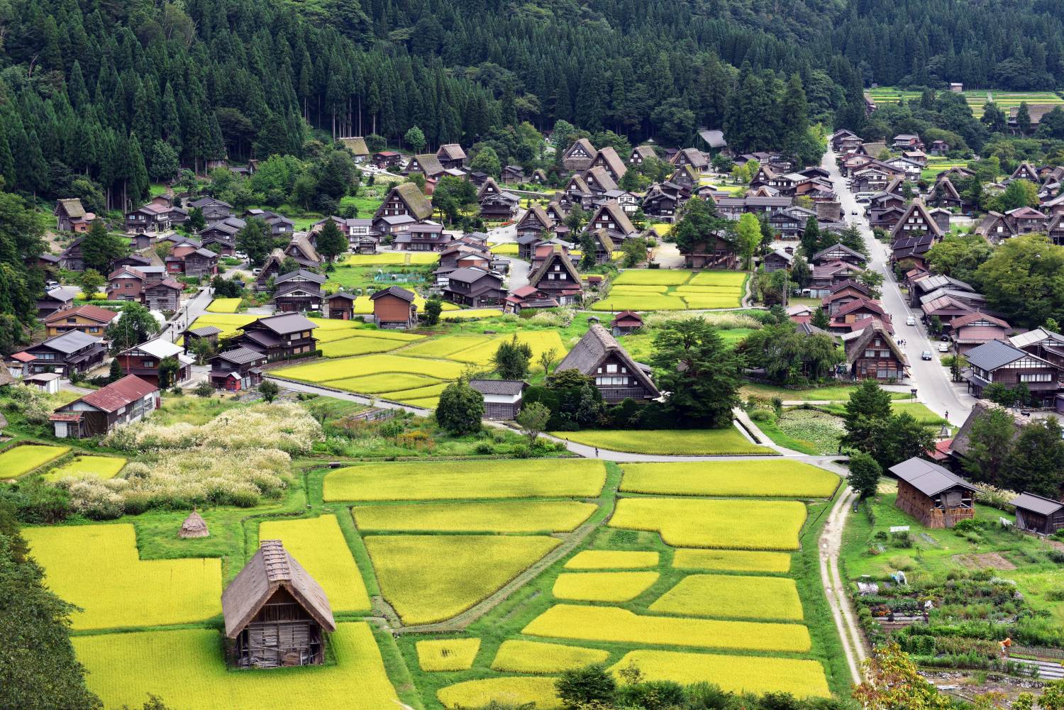 日本第一星空之旅阿智村昼神温泉三天團 【保證入住星級酒店-OMO5星野集團◎鐵道單車 體驗◎阿智村星空之旅◎白川鄉◎妻籠宿◎近江町市場】名古屋出發KNA-03N