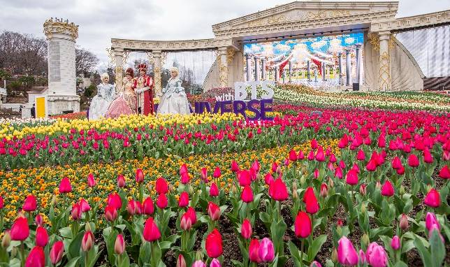(团号:EV-01)  EVERLAND 爱宝乐园  / 加勒比海湾 一天团