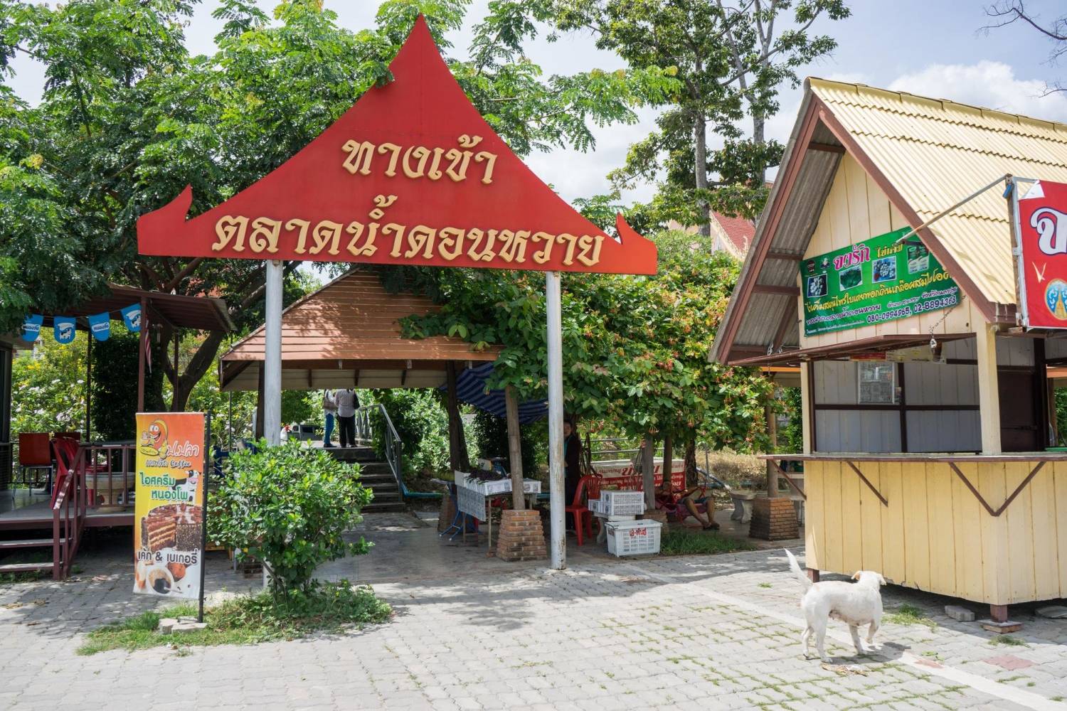(团号:NKP-01) 佛统府网红 CAFE 一天团