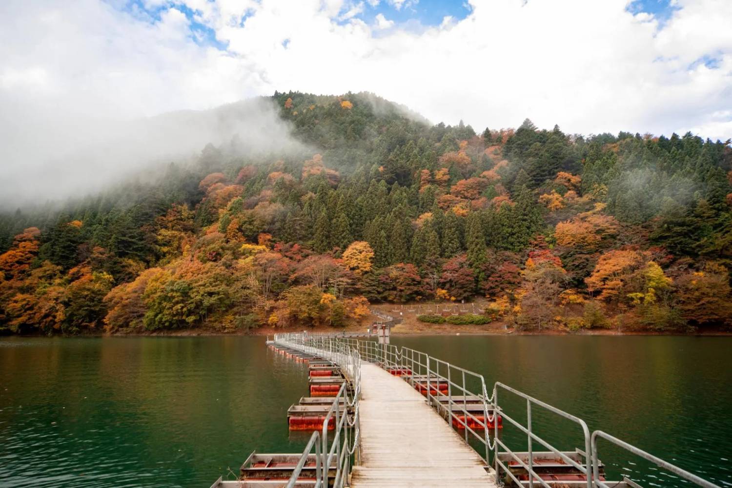 東京出發◆高尾山,  奥多摩湖  一天遊【紅葉名所-高尾山 ▎奥多摩湖~ 麥山浮橋 】(KTM-01A)