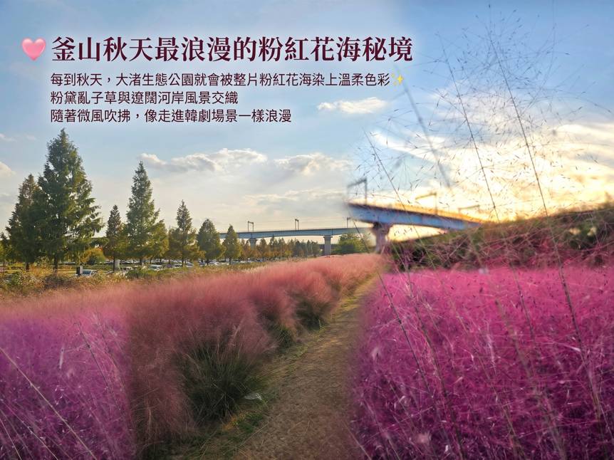 (團號 : ZY-02) - 智異山賞楓2日團 <釜山出發>
