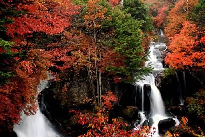 東北紅葉日光、豬苗代溫泉 三天團【保證入住星野集團- 磐梯山溫泉酒店、華嚴瀑布 、日光神橋~ 東照宮、大內宿、第一只見橋、豬苗代湖】(KTT-03A)