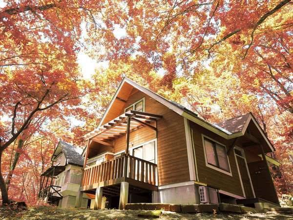 富士山紅葉，清里高原溫泉 2天團【河口湖紅葉迴廊、清里高原1900公尺的山頂絕景+斜坡滑車、入住八岳森林小木屋、葡萄果園採摘 】KTK-02A