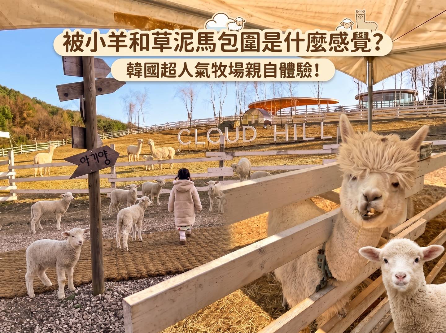 (團號:SA-01) <一人成團> 韓國冬季最強CP值一日遊｜雪地樂園＋草莓採摘＋療癒牧場＋夜間燈海