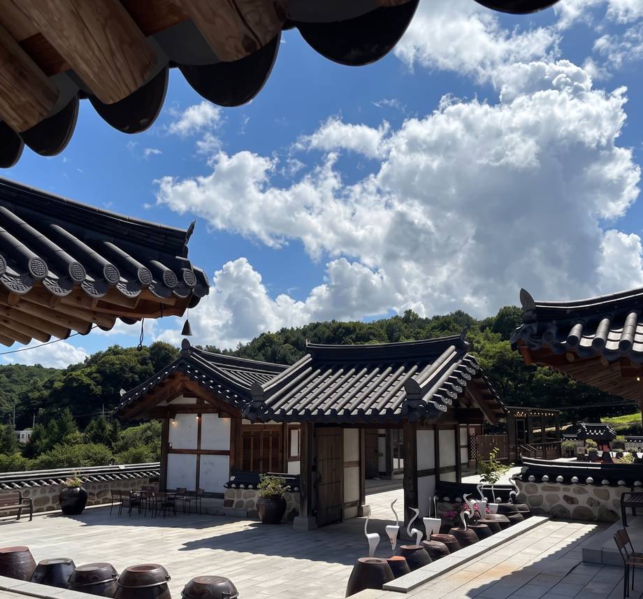 (團號 : BO-01) 秋日雙色物語｜粉黛亂子草 × 波波草 × 韓屋咖啡 × 韓式涮涮鍋一日遊
