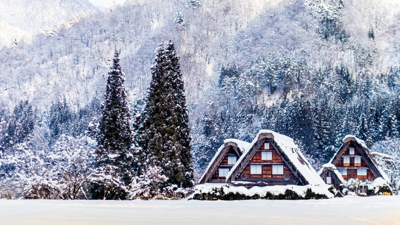 名古屋-金澤賞雪二天(新高穗雙層式高空纜車體驗、白川鄉、兼六園、近江町市場) KNT-02F