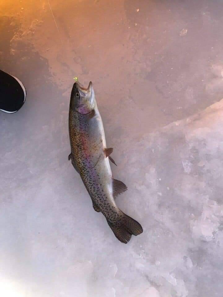 (團號:-FH-01) 平昌釣冰魚 一天團