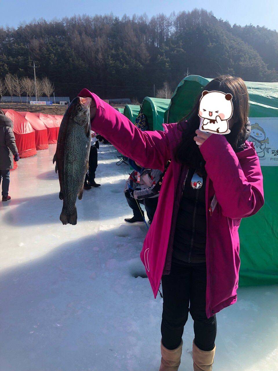 (團號:-FH-01) 平昌釣冰魚 一天團