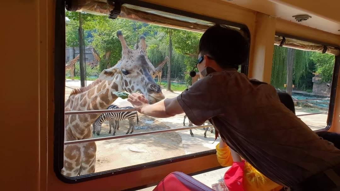 (團號:EV-01)  EVERLAND 愛寶樂園  / 加勒比海灣 一天團