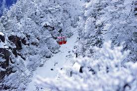 名古屋樹冰滑雪一天團-(御在所岳、長島OUTLET、名花之里冬日大型點燈 )(KNG-01F)