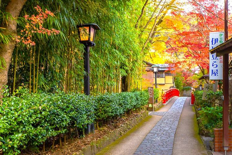 東京出發◆紅葉賞楓名所◆伊豆半島一天遊【獨鈷之湯溫泉足浴- 修善寺溫泉街 ▎小田原漁港-海鮮市場 ▎熱海站前商店街   】(KTI-01A)