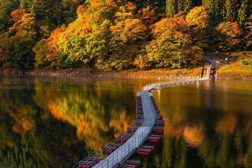 東京出發◆高尾山,  奥多摩湖  一天遊【紅葉名所-高尾山 ▎奥多摩湖~ 麥山浮橋 】(KTM-01A)