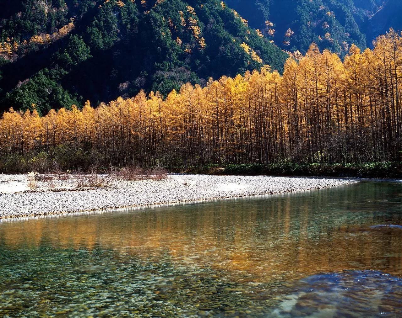 立山黑部紅葉三天團[保證入住星級酒店-OMO5星野集團、白川鄉、上高地、高山古街、近江町市場、100%天然溫泉水-淺間之湯] KNT-03A	名古屋出發