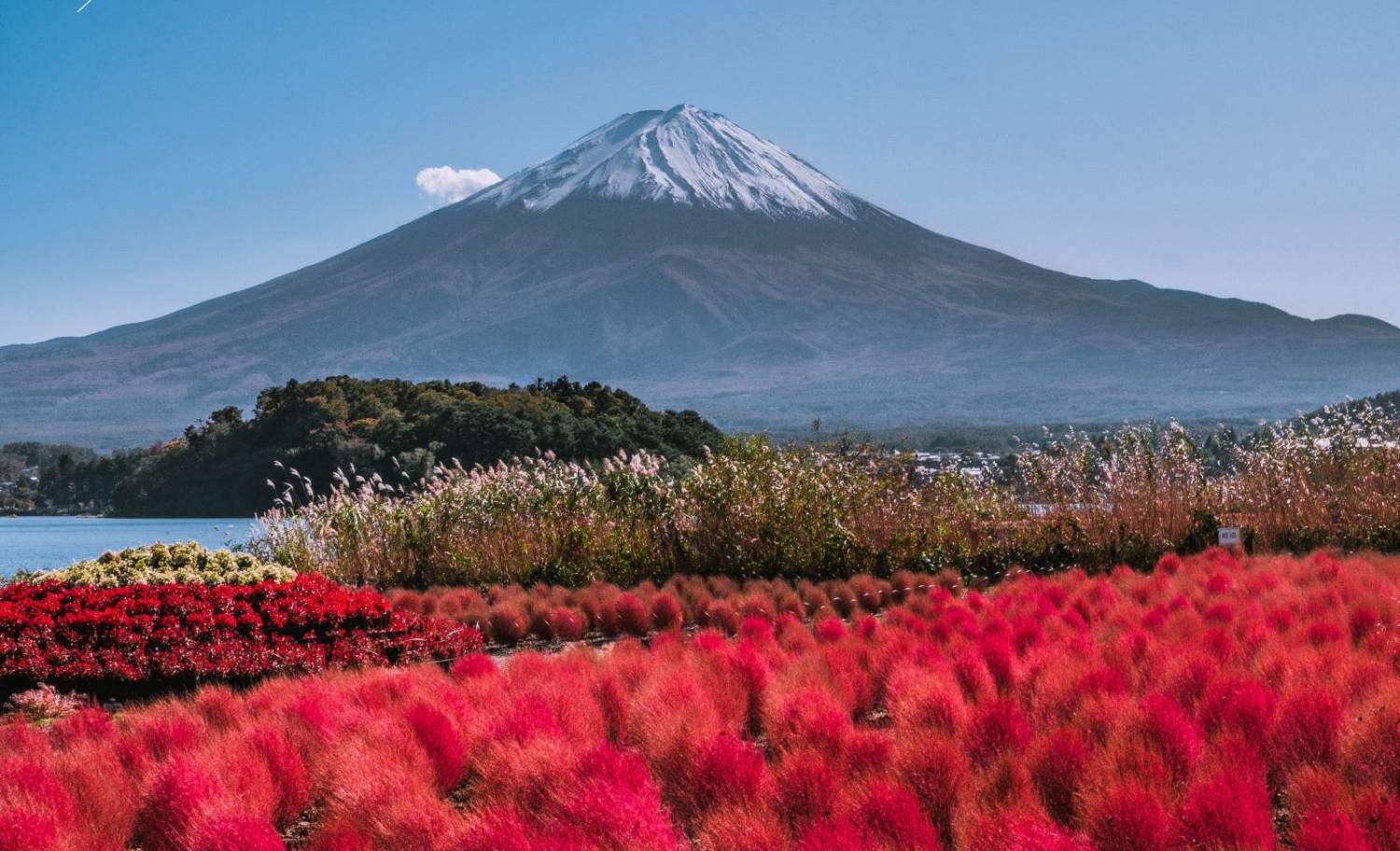 富士山花田, 輕井澤夢幻美景 2天團【大石公園、白絲瀑布、入住八岳森林小木屋】KTK-02A