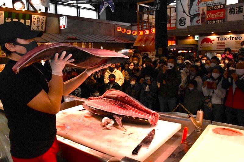 大阪高野山賞櫻一天團(黒潮市場，紀三井寺，貓貓站長車站) KOW-01H