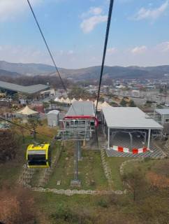 (團號 : DH-02) <<保證出團>> 粉紫杜鵑花海 x 夢幻草莓園 春季絕美兩日遊