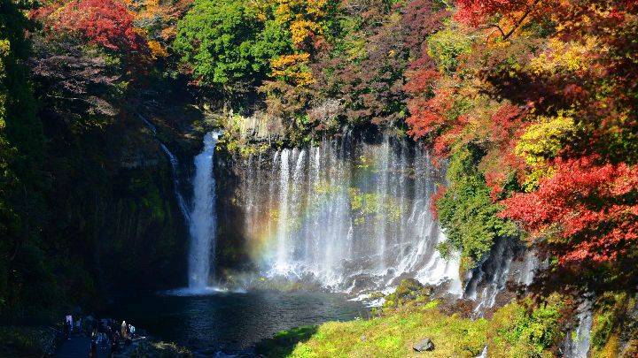 秋日富士山河口湖紅葉迴廊、川越、輕井澤秋色溫泉 2天團【忍野八海、淺間神社、入住八岳森林小木屋、白絲瀑布、小江戶川越街道】KTK-02A 東京出發