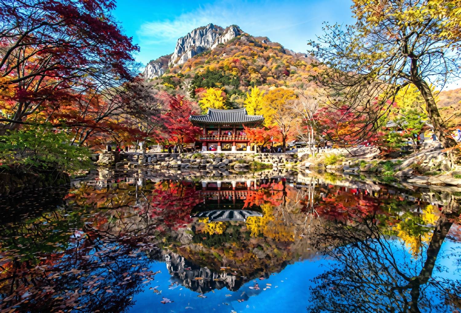 (團號 : NJ-01) <一人成團> 楓葉秘境之旅一天團 (10&11月限定) 2026