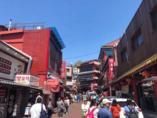 (團號 : DS-01) <一人成團> 草莓農場＋富平地下街•杜鵑花&櫻花之旅 1天團