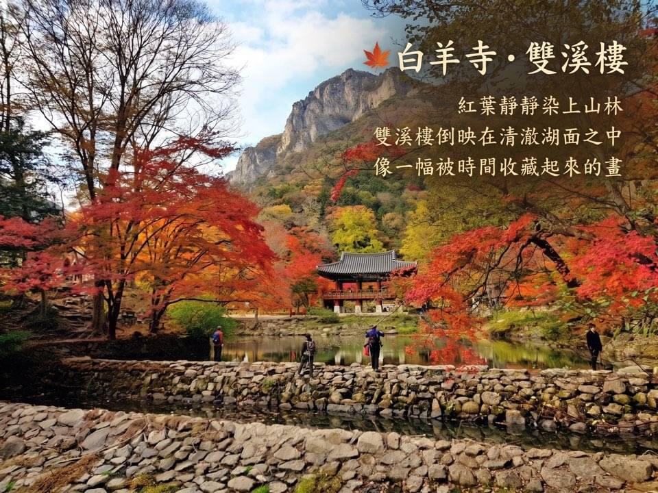 (團號:NJD-01) <一人成團,買一送一>南內藏山深度美食一天團2026