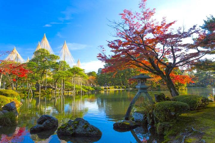 名古屋出發◆秋之高山金澤二天團【世界文化遺產◆紅葉的白川鄉合掌村▎日本唯一淨土◆上高地▎日本三大名園◆兼六園▎西日本一掃帚草花海▎蛭野高原花園】(KNN-02A)