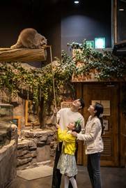 (團號: PXZ-01/26) <一人成團> 採摘蘋果西瓜｜打卡星空圖書館｜包入埸最大規模室內動物園 暢玩 一天團 <一人成團>｜首爾出發