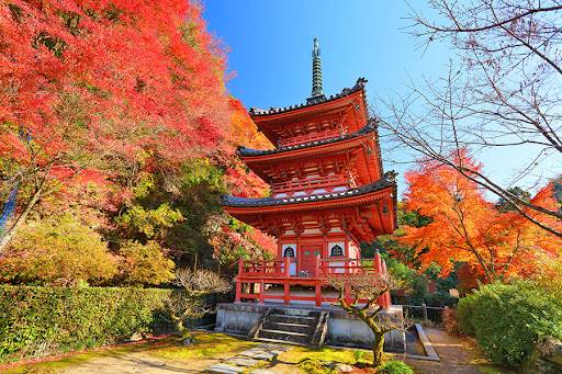 大阪出發-宇治-紅葉名所1天團- 三室戸寺, 宇治抹茶街,平等院-表參道,紫式部雕像 (KOU-01A)
