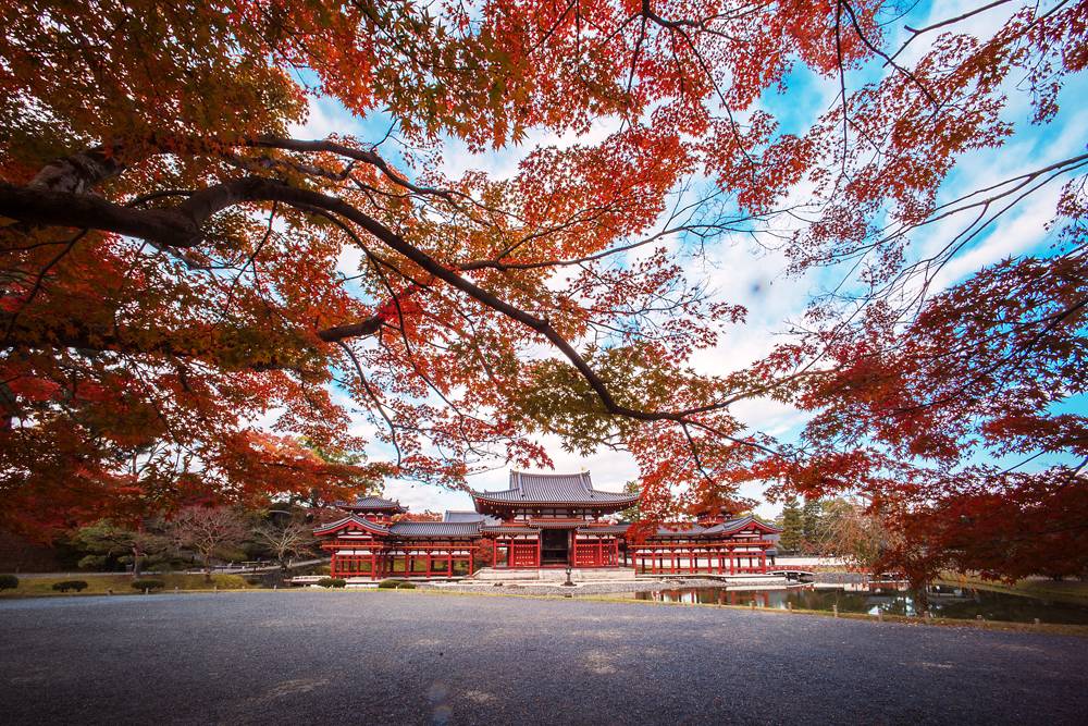 大阪出發-宇治-紅葉名所1天團- 三室戸寺, 宇治抹茶街,平等院-表參道,紫式部雕像 (KOU-01A)