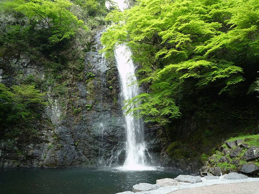 大阪-萬博公園,勝尾寺,箕面瀑布,LALAPORT EXPO一天團(KOM-01)大阪出發