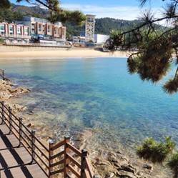 (团号: NG-02) 内藏山,水杉树林路,枫叶公园, 赏枫叶二天团