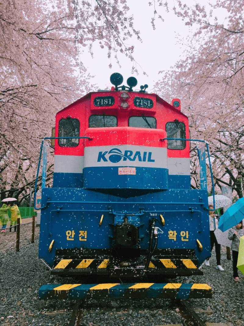 (團號 : JH-01) 草莓農場＋鎮海慶和火車站+余佐川櫻花道 之旅 1天團