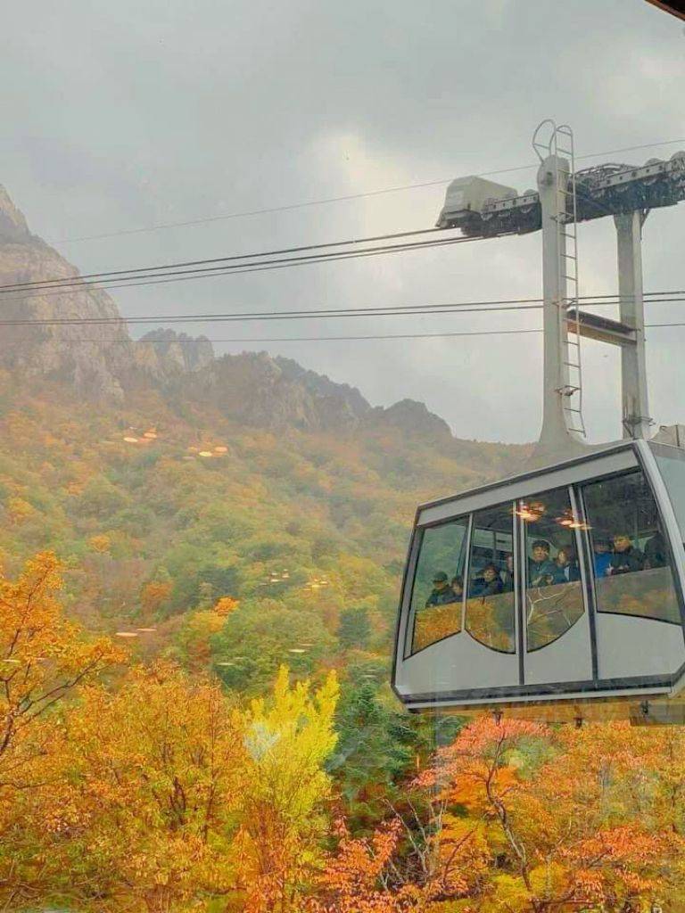 (團號:SE-01) (10 &11月份限定) 2025 最早賞楓勝地雪嶽山, 朿草觀光水產市場,展望台一天團