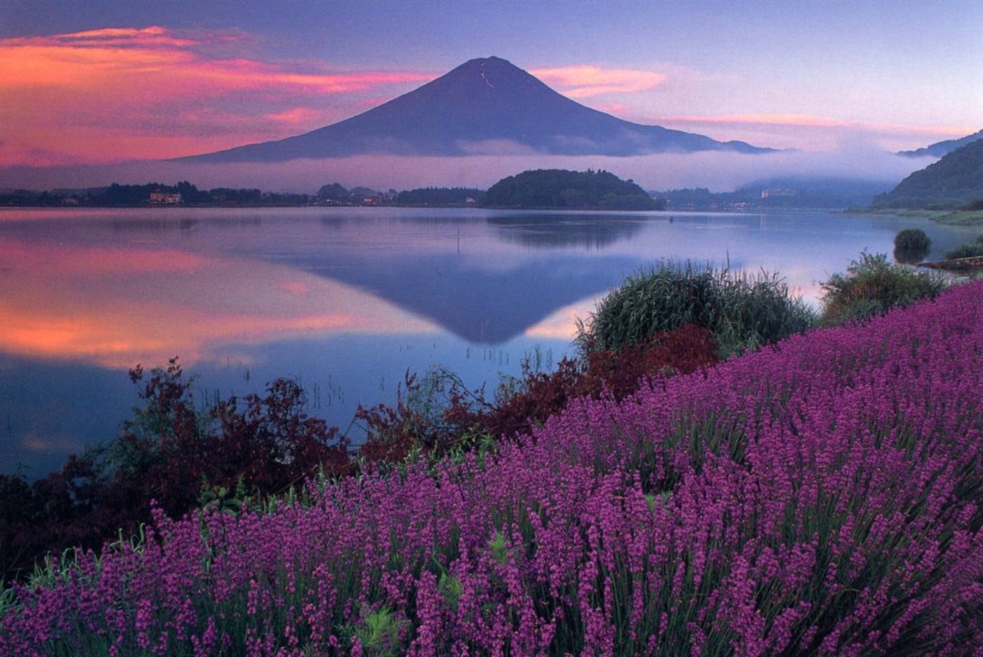 富士山花田, 輕井澤夢幻美景 2天團【大石公園、白絲瀑布、入住八岳森林小木屋】KTK-02A