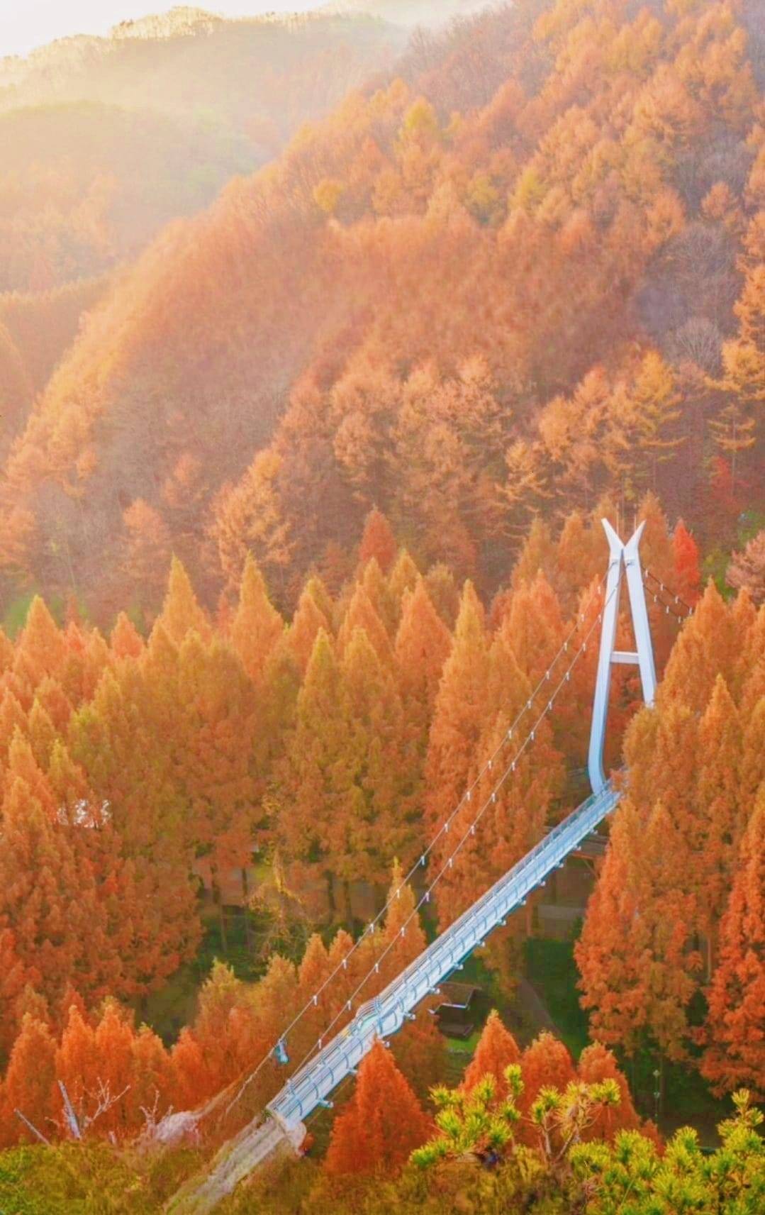 (團號:JS-01) 長泰山楓葉,隱世楓葉奇石林一天團