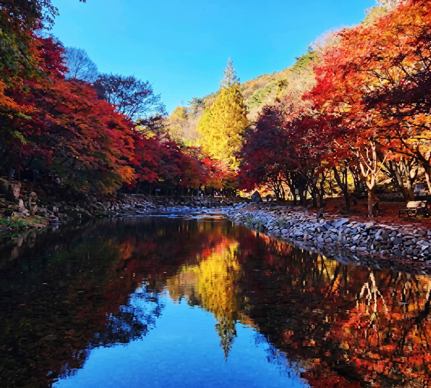 (團號 : QJ-01) <一人成團> 秋日秘境·剛泉山 楓紅療癒之旅一天團 2026