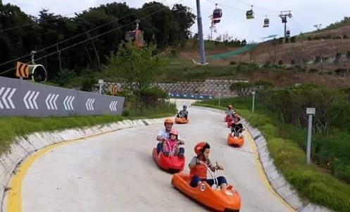 (團號 : DH-02) <<保證出團>> 粉紫杜鵑花海 x 夢幻草莓園 春季絕美兩日遊