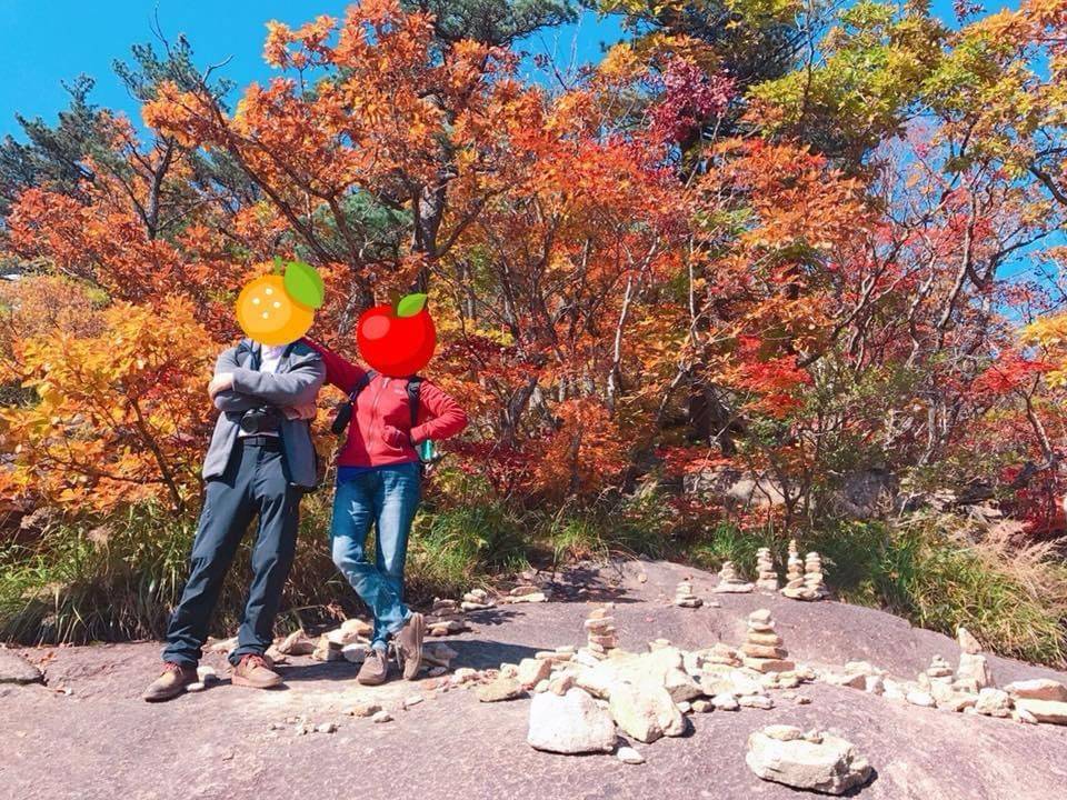 (團號:SE-01) (10 &11月份限定) 2025 最早賞楓勝地雪嶽山, 朿草觀光水產市場,展望台一天團