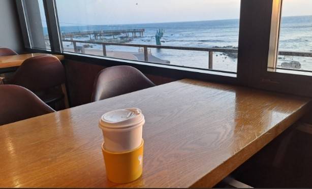 (團號 : FP-02 ) <<保證出團>>「櫻花隧道 × 火車花海 × 海上巨手」人氣打卡一次滿足