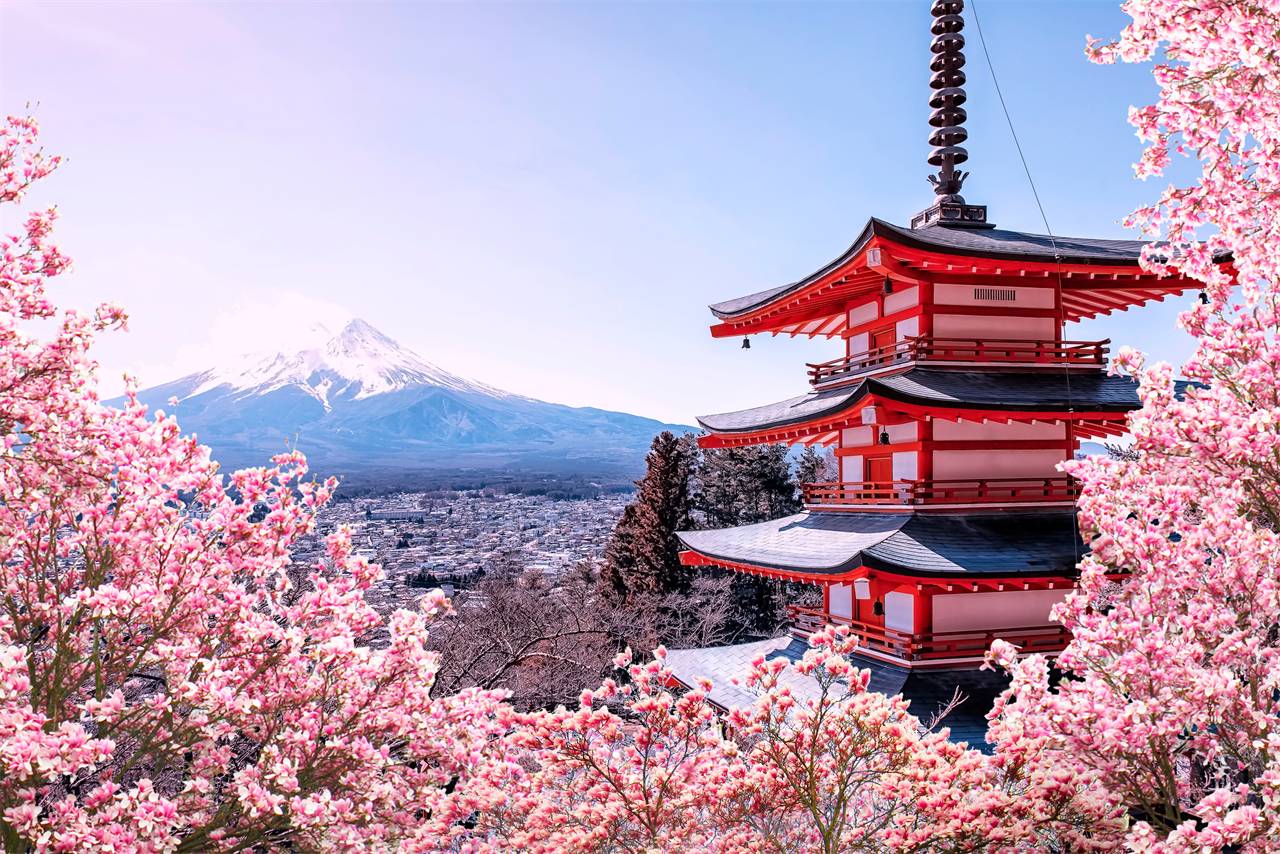 櫻色富士山河口湖-西湖-櫻花合掌村一天團【西湖療癒之鄉根場櫻花◎淺間神社◎忍野八海◎日川時計店】KTF-01H2★東京出發