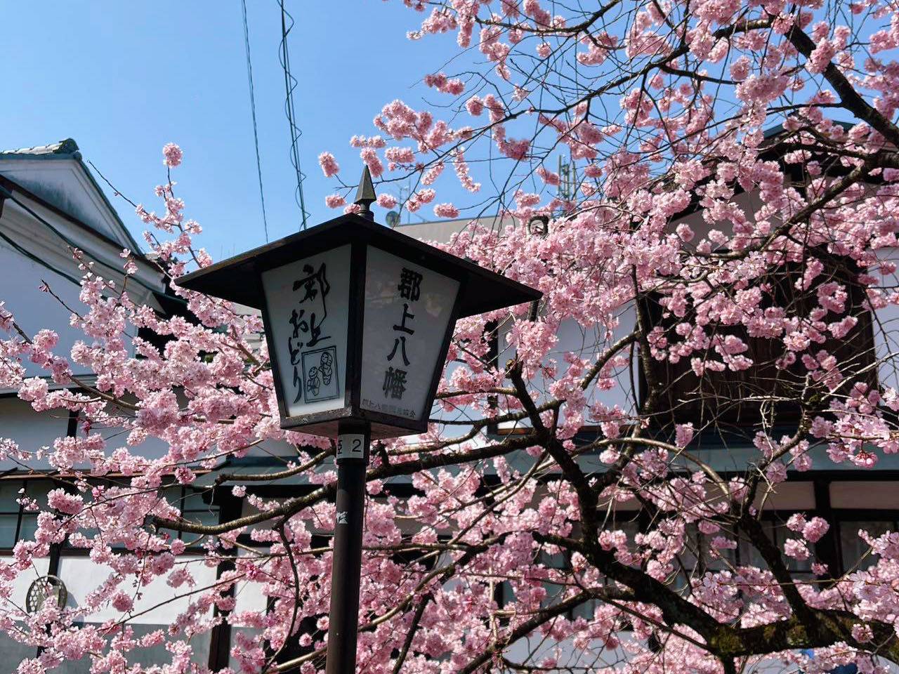 名古屋紅葉名所一天遊-下呂溫泉街+郡上八幡+犬山城下町(KNK-01A)