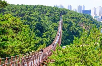 (團號 : ZD-02) <<保證出團>> 走進韓國春日秘境的兩日奇幻之旅