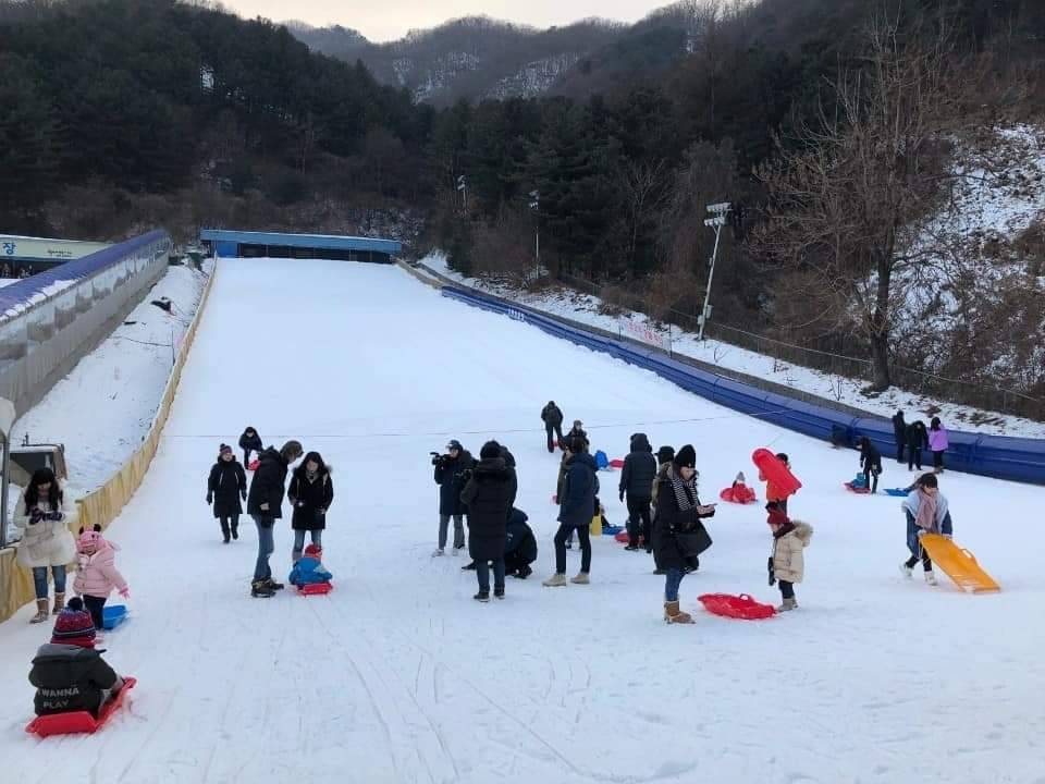 (團號:SD-01) 親親草泥馬,採草莓,雪兜任玩 一天團