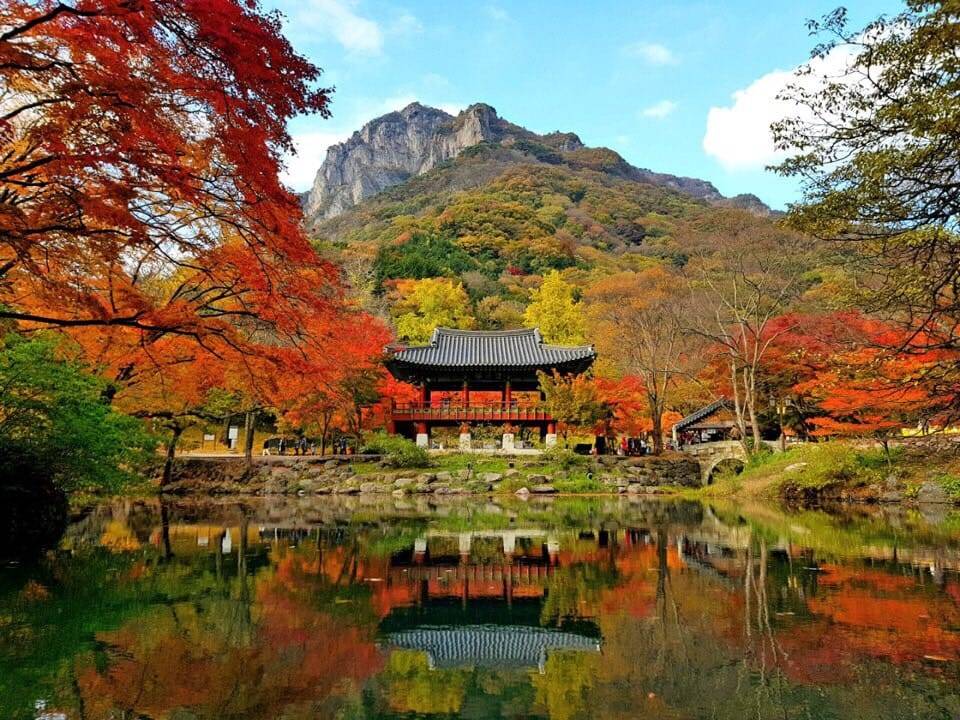 (團號:NJD-01) (10 &11月份限定) 2025東內藏山 最新楓葉公園 一天團