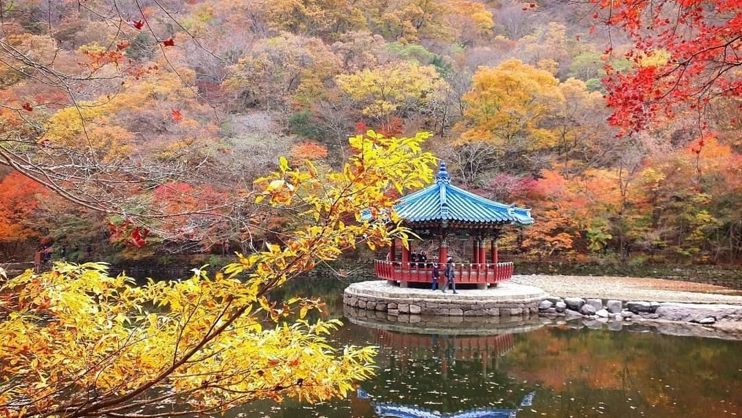 (團號:NJ-01) (10 &11月份限定) 2025全新內藏山內藏寺紅葉慶典一天團