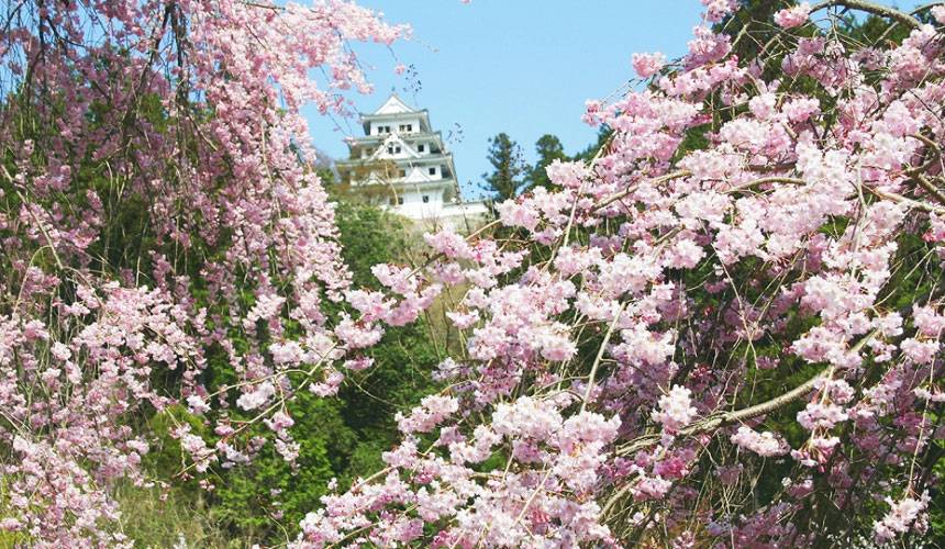 名古屋紅葉名所一天遊-下呂溫泉街+郡上八幡+犬山城下町(KNK-01A)