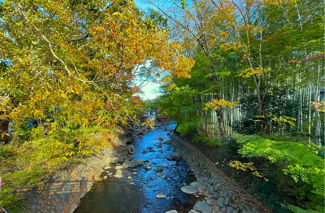 伊豆紫陽花祭典、浜燒刺身放題、溫泉二天團【下田紫陽花園 ▎入住古式溫泉酒店- 金目鯛、海蝦、蟹腳扇貝自助餐 ▎ 小田原城花祭典 ▎大室山 ▎小田原魚市場 ▎熱海商店街   】(KTI-02H)