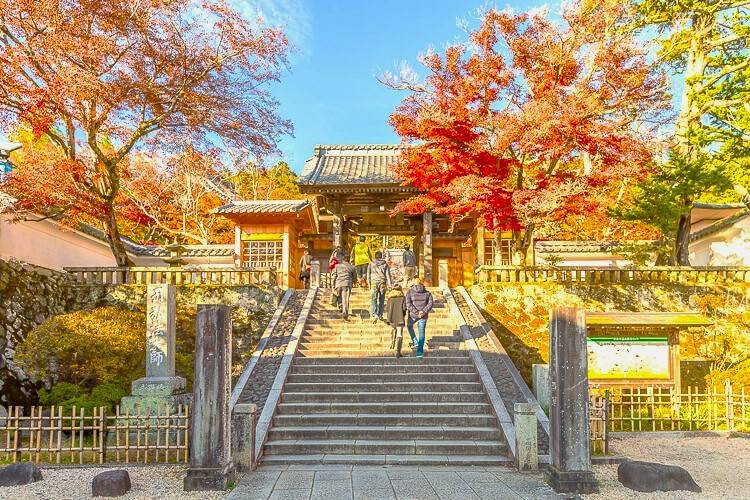 東京出發◆紅葉賞楓名所◆伊豆半島一天遊【獨鈷之湯溫泉足浴- 修善寺溫泉街 ▎乘特色吊車登上自然遺產大室山   】(KTI-01A)